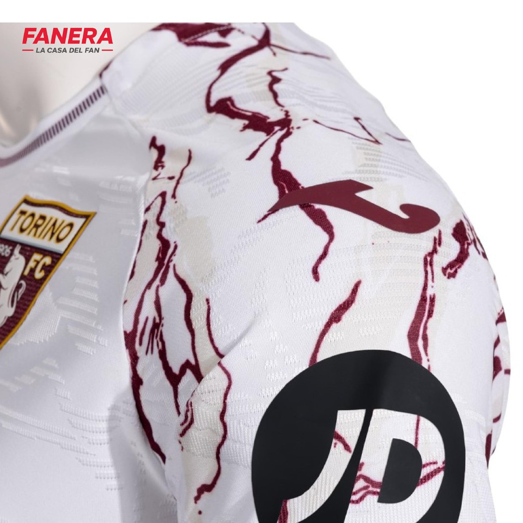 Torino Visita 25/26