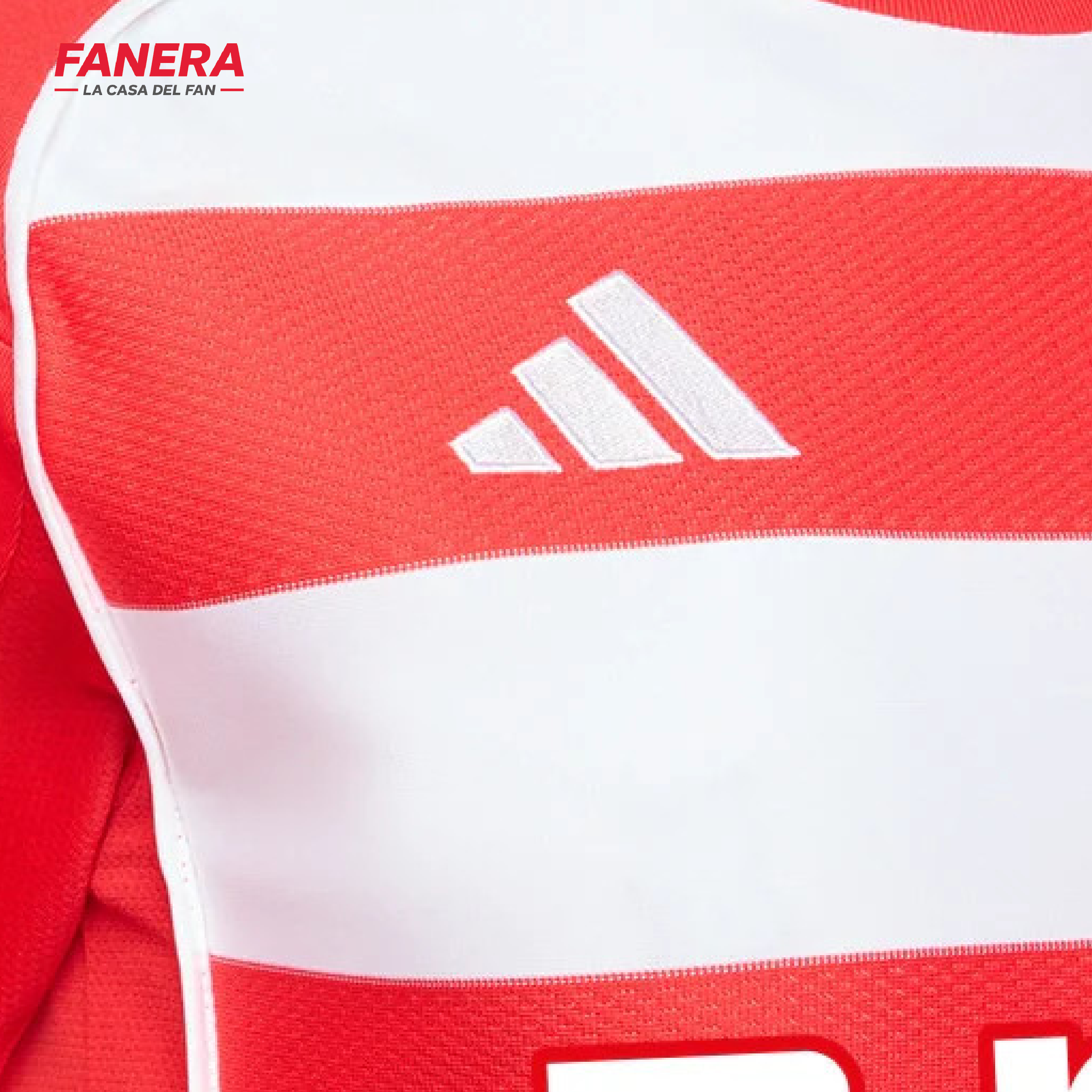 Union Berlin Local 25/26